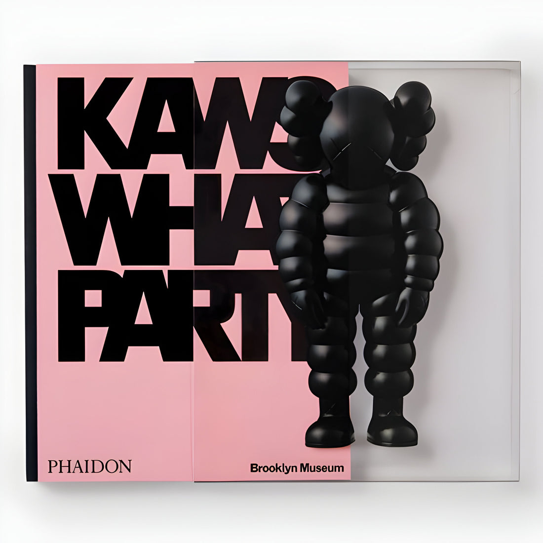 Kaws what party