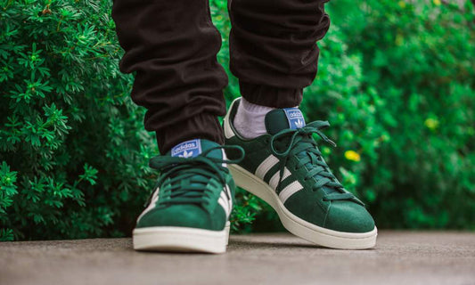 Adidas campus verte